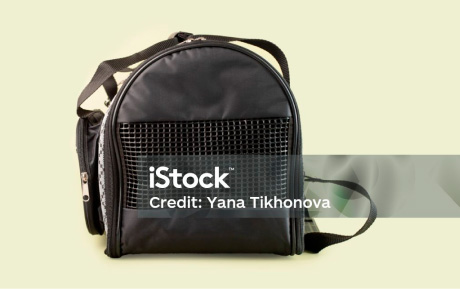 jaula o kernel skyhigh